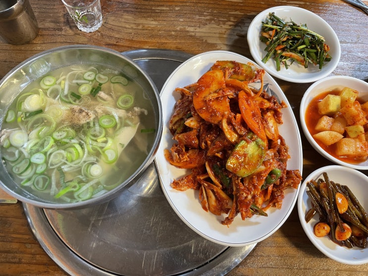  [을지로 노포 맛집] 황평집닭곰탕