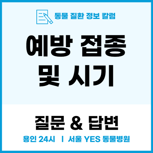  [건강검진] 강아지 예방접종의 종류, 시기에 대해 용인 분당의 동물병원 원장이 직접 알려 드립니다.