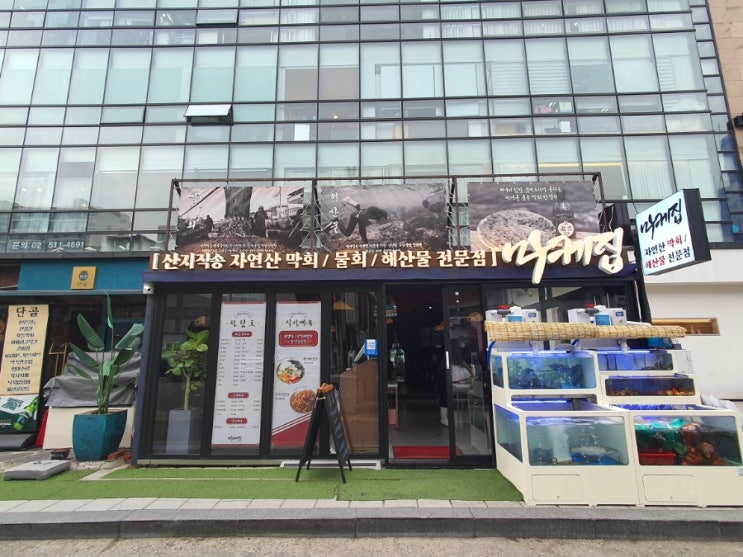  압구정맛집;)도다리쑥국과 자연산 막회가 유명한  마케집