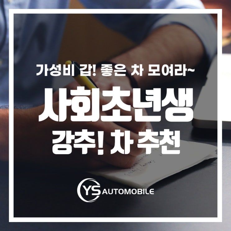  갓성비! 사회초년생 차 추천!