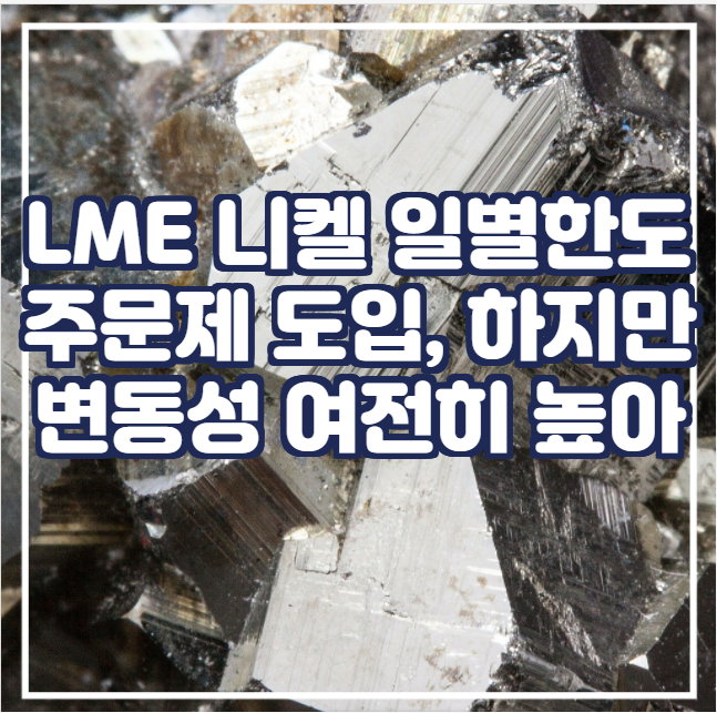  [국제금속] LME, 니켈의 일별 한도를 주문을 도입했지만, 여전히 변동성은 높아