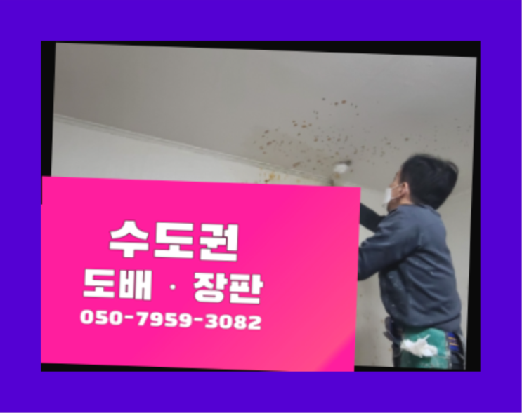  벽지사이트 ? 저렴한 도배·장판 시공문의 소개합니다