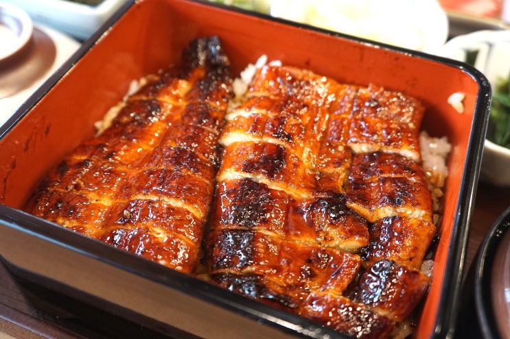  서래마을맛집 우나기야 서래본점 - (하츠마부시)장어덮밥맛집