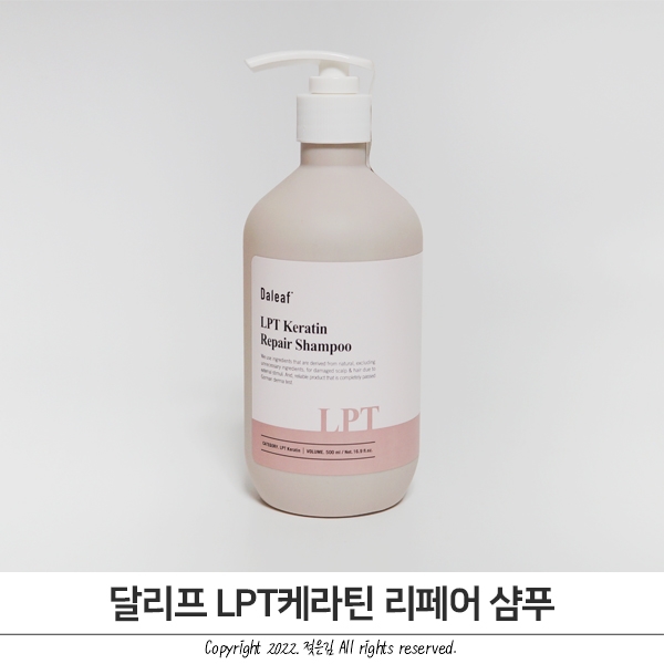 올리브영샴푸추천 달리프 노제샴푸 얇고 긴머리에 딱 올리브영샴푸추천 달리프 노제샴푸 얇고 긴머리에 딱