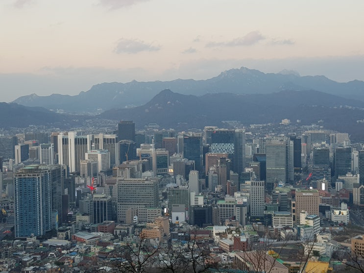  부동산 Inside