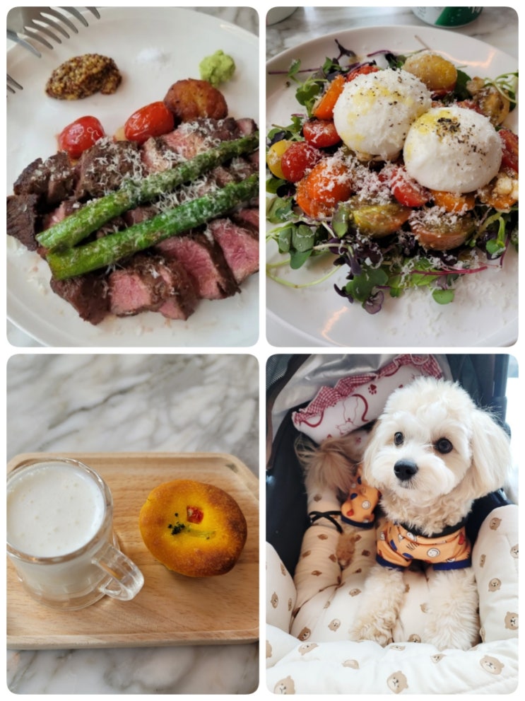  수원, 광교 애견동반 맛집 ㅣ 149 플라밍고 ㅣ 말티푸 카이와 함께~ 댕댕이 메뉴도 있어요~