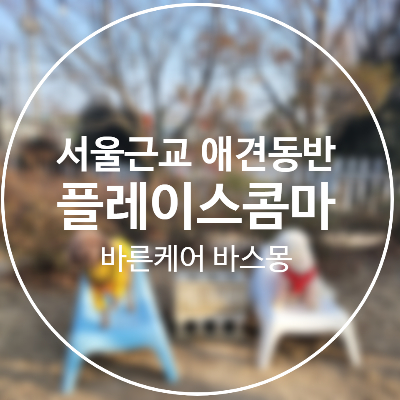  서울근교 애견 동반 플레이스 콤마