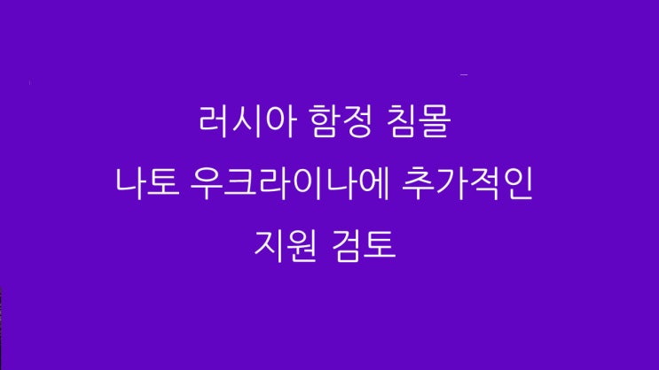  러시아 함정 침몰 나토 우크라이나에 추가적인 지원 검토