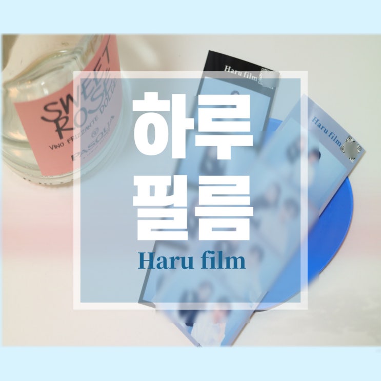  대세는 하루필름! 카드,가격,큐알,포즈 다 알려드림  (성수/서울숲)