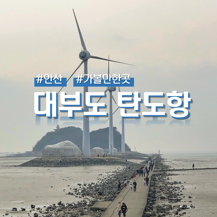  안산 가볼만한곳 탄도항 누에섬 당일치기 4월 물때시간