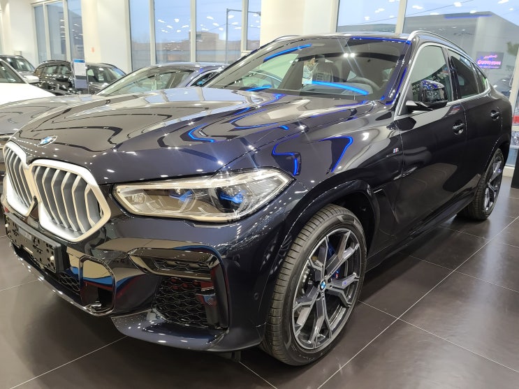 2022 BMW X6 xDrive30d 신차 인수 전 정비사 출장신차검수 후기 / 강남 양재 신차 검수