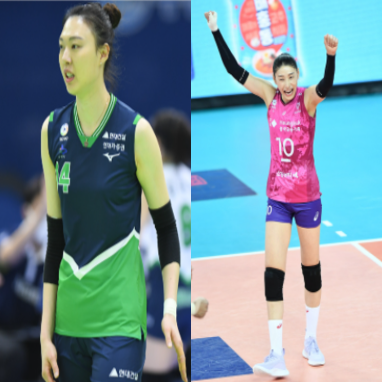 22~23 역대급 여자배구 FA 시작(1)(양효진, 안혜진, 유서연, 고예림, 표승주, 이고은)