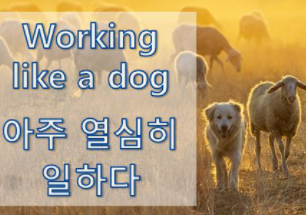  '일/업무' 관련 재미있는 영어 표현 1