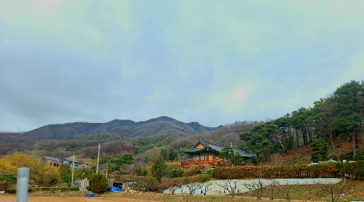 이천 산수유마을(3. 26)