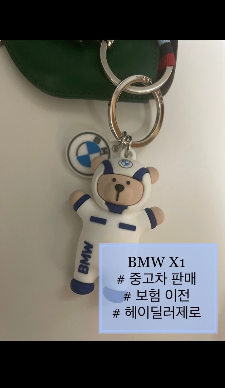 BMW-X1 구매기#중고차판매 #헤이딜러후기 #보험이전