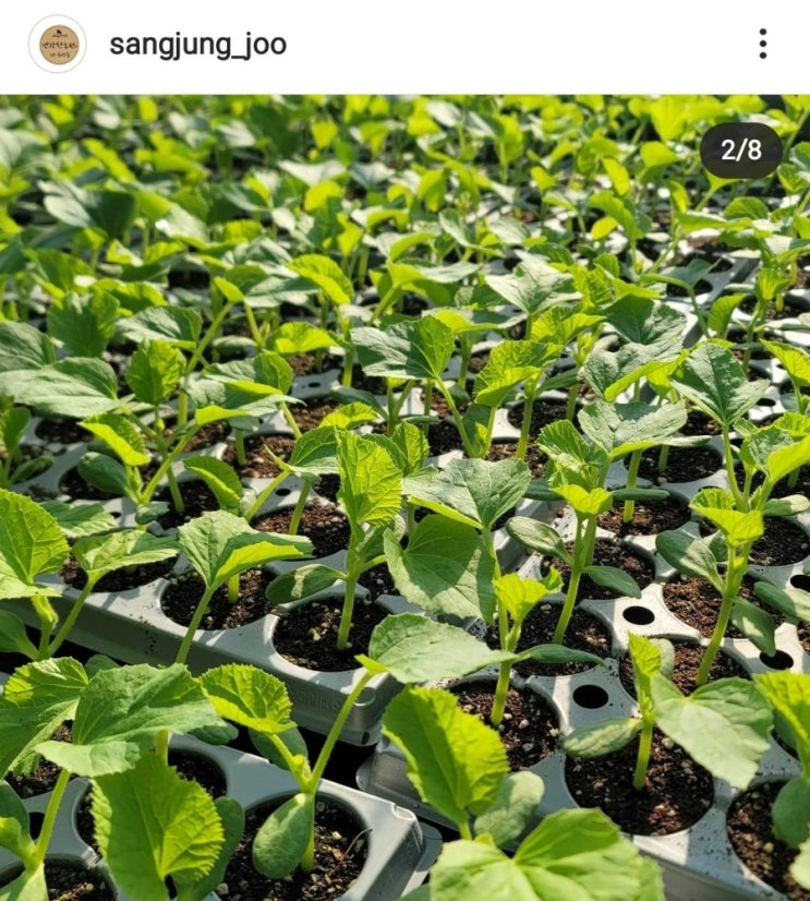  사기꾼 인간 제보 부탁드립니다! 공유해주세요