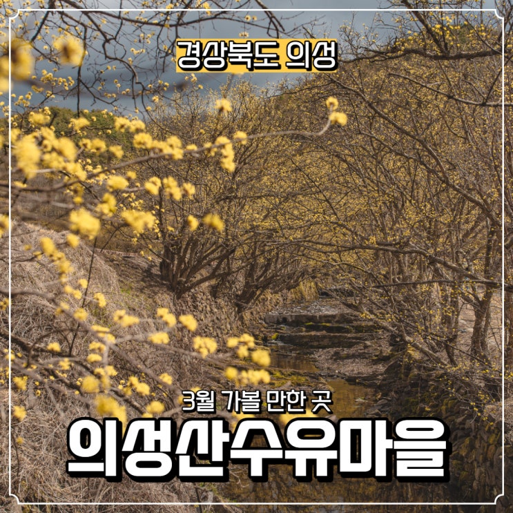  [경상북도] 의성 가볼 만한 곳, 의성산수유마을