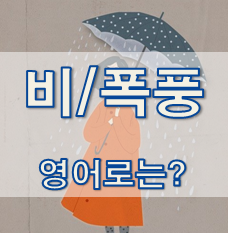  (영어 유의어) '비 / 비바람 / 강풍' - 영어로 어떻게?