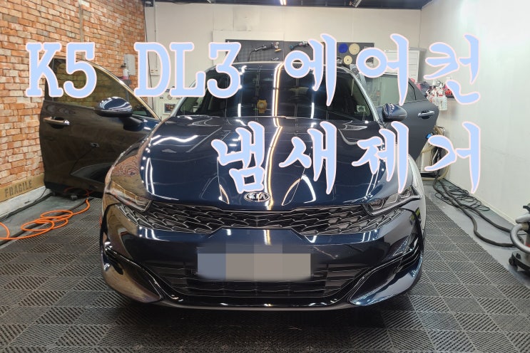  양산에바크리닝 K5 DL3
