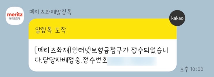 코 실비 처리 후기 /종합보험처리 / 메리츠화재