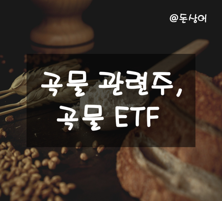  가격이 꽤 많이 상승하고 있는 곡물 관련주 및 ETF 정리