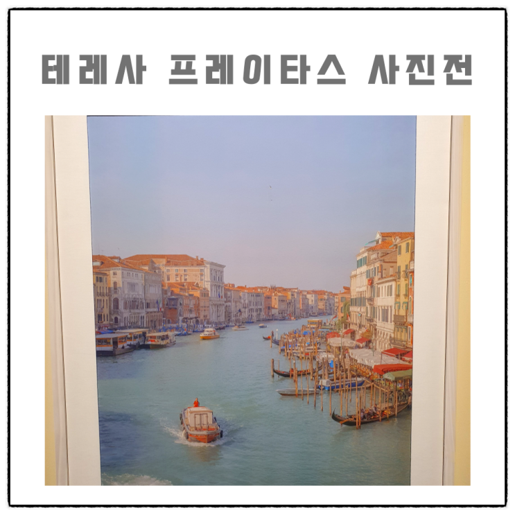  테레사 프레이타스 사진전 솔직후기