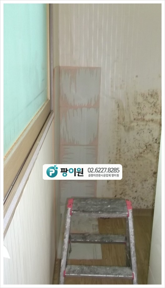  빌라 벽에 곰팡이제거 퍼펙트 해결!