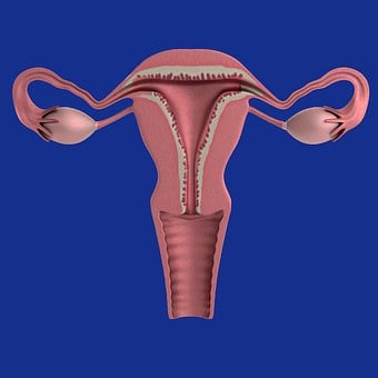여성들의 질환 자궁근종 내막증 치료.수술등에 대해 알아보겠습니다