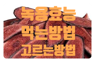  좋은 녹용 고르는방법 효능 부작용 먹는방법