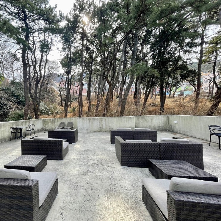  #220326 2박3일 부산여행 - 영도 카페, 신기숲