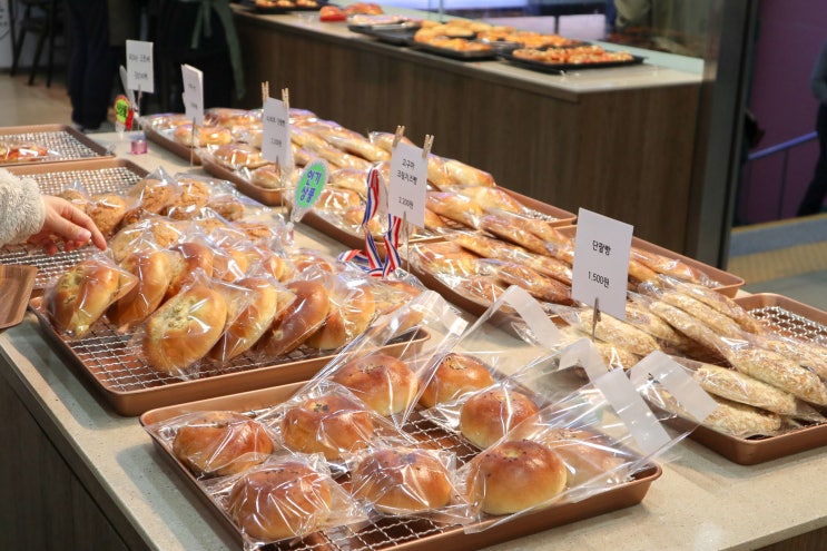 서면역맛집 부산빵집 정이든 부산서면점