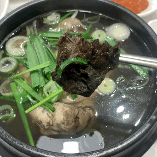  대구 명덕 평상집 능이 삼계탕 _ 코시국 몸보신하러 다녀옴:)