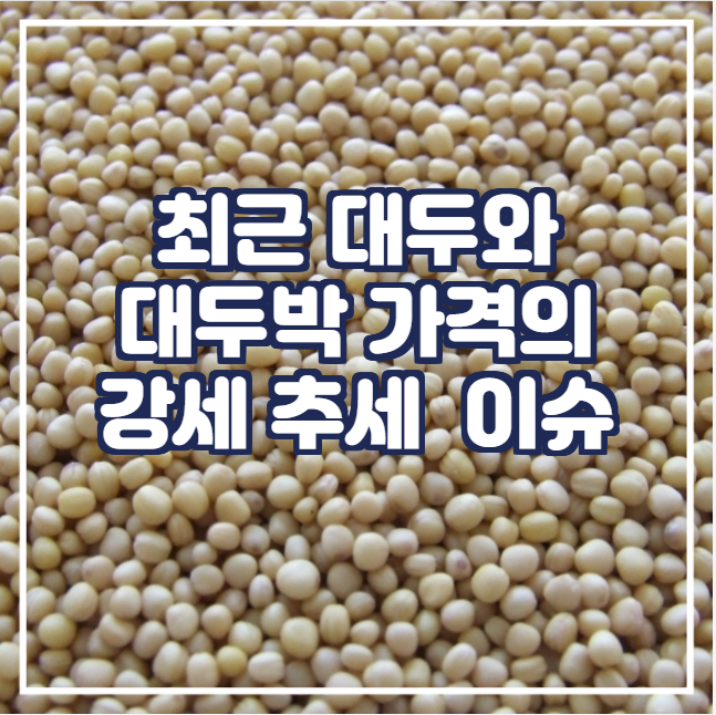  [국제농산물] 최근 대두와 대두박 가격의 강세 추세