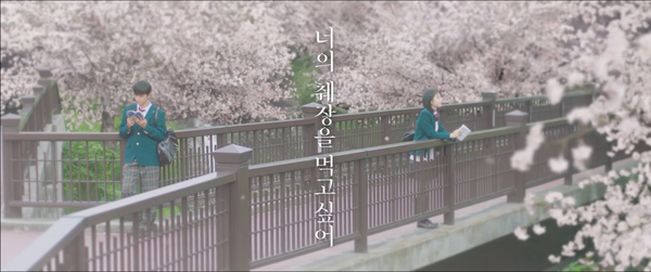 랜선으로 벚꽃놀이~(feat. 일본 영화로 사쿠라 맛보기)