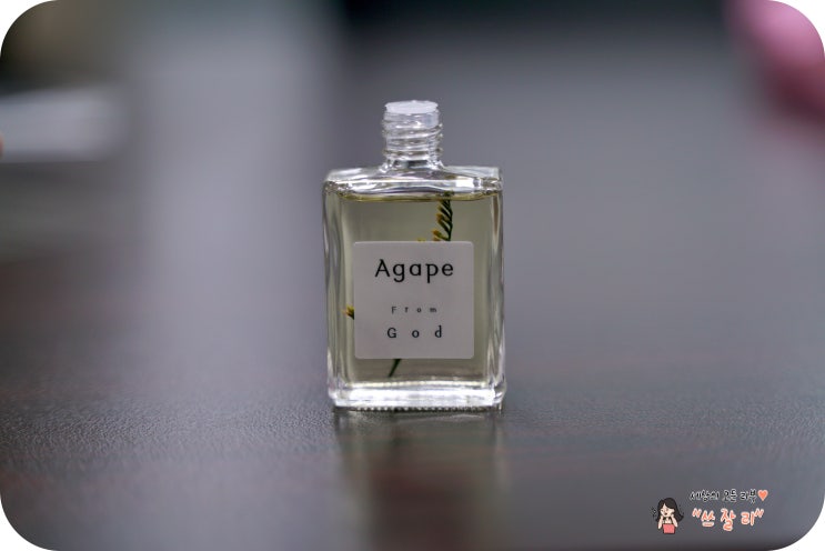  Agape 아가페 천연 차량용디퓨저