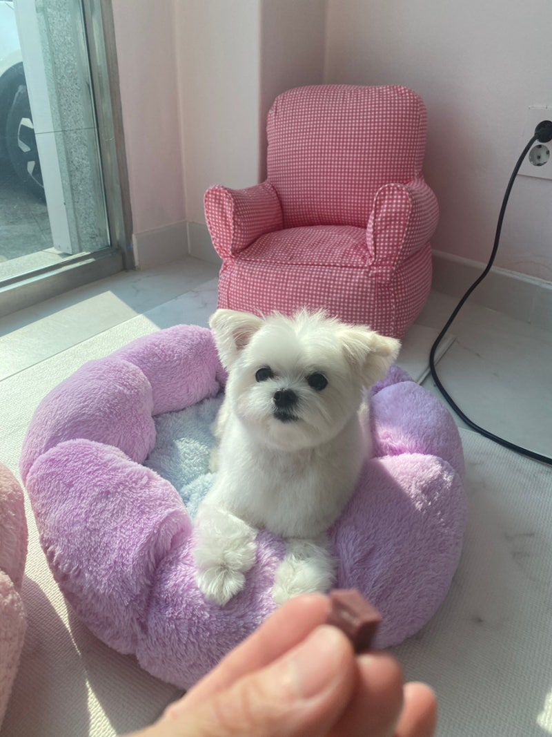 사진 10