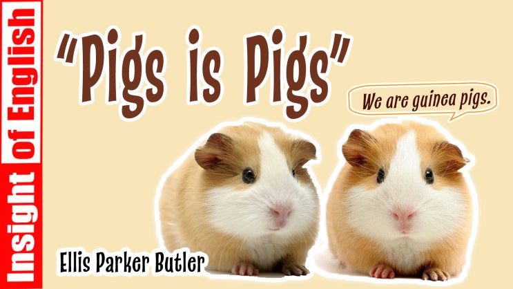 Pigs is Pigs