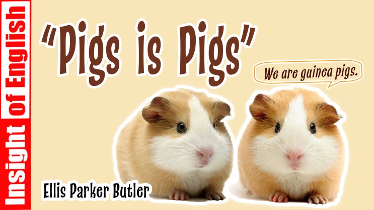  Pigs is Pigs