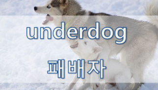  '싸움 / 논쟁' 관련 재미있는 영어 표현 1
