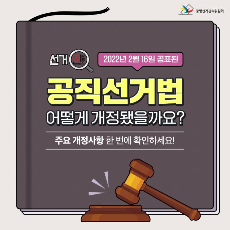  2월 16일 공표된 공직선거법, 개정주요사항