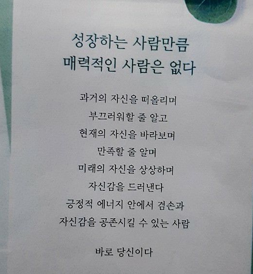 식신과 상관의 직업적 특징