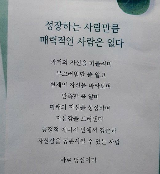 식신과 상관의 직업적 특징