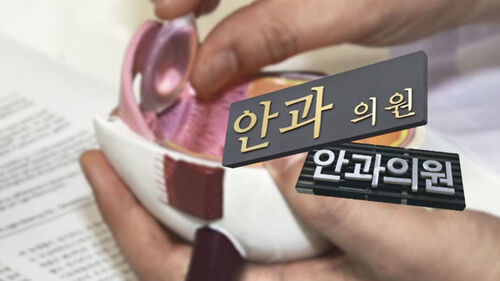 백내장 원정수술까지?…"이제 실손 안돼" 부추기는 병원 : SBS 뉴스 백내장 원정수술까지?…"이제 실손 안돼" 부추기는 병원 : SBS 뉴스