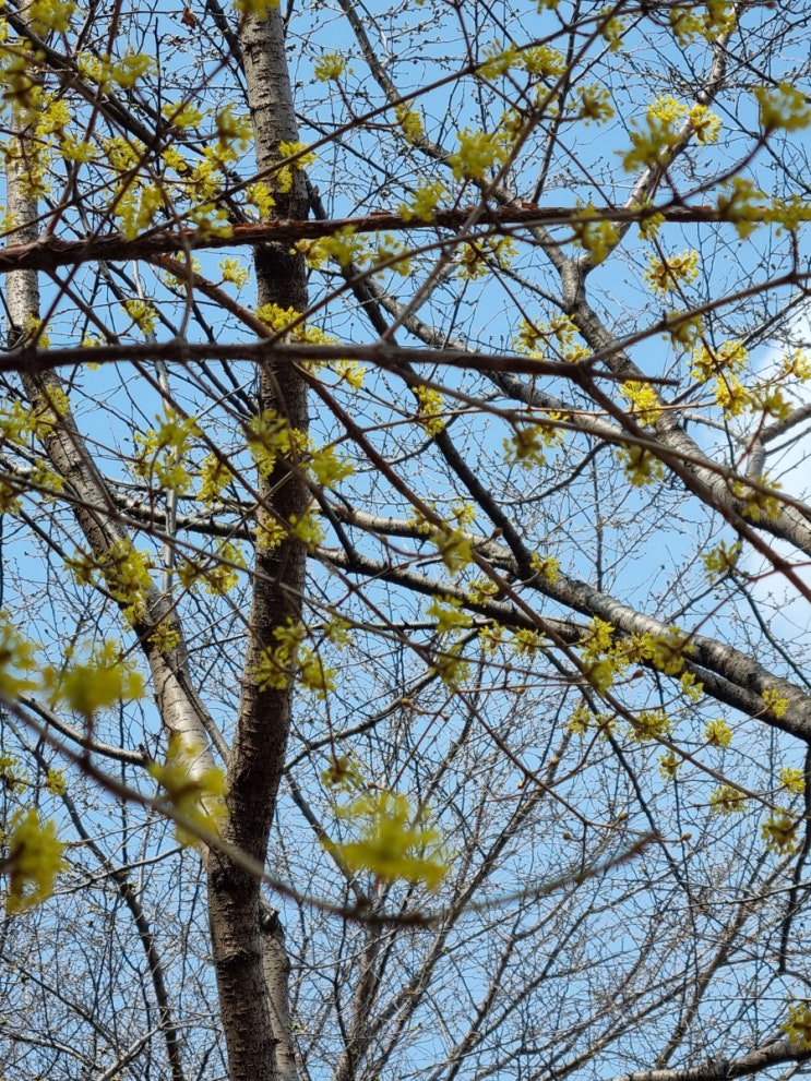 꽃송이가~ 흥얼거리며 산책! 꽃송이가~ 흥얼거리며 산책!