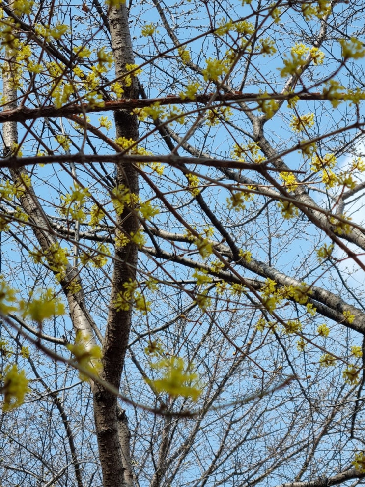 꽃송이가~ 흥얼거리며 산책!