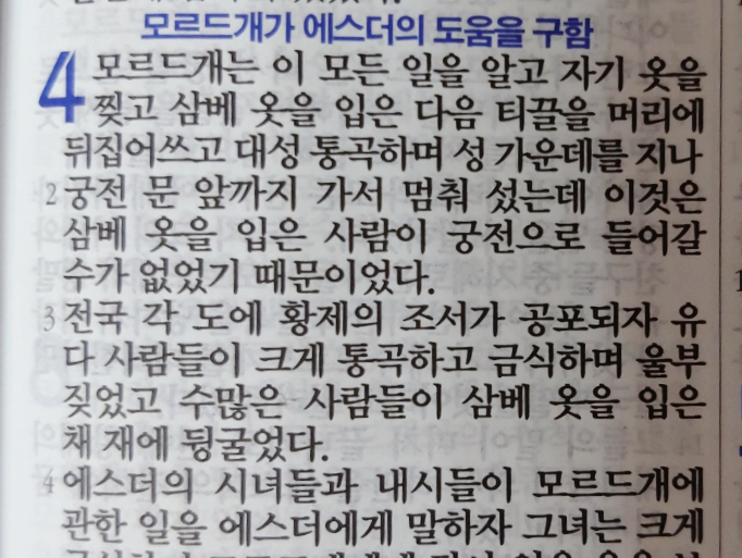 에스더 4장 에스더 4장