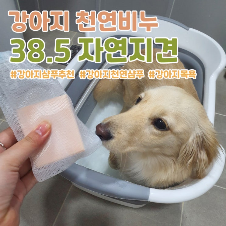  강아지 저자극 샴푸! 강아지 비누 '38.5 자연지견' 구매하다