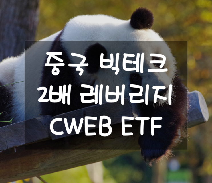  중국 빅테크 기업들에 2배 레버리지로 투자하는 CWEB 주가 및 분석