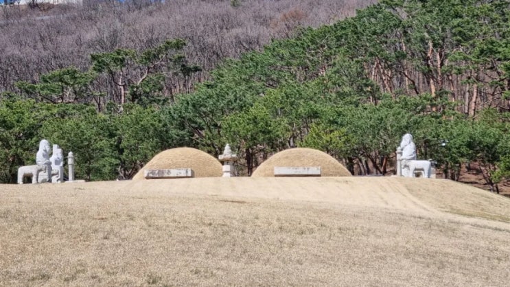 검단에서 김포 장릉으로  넘어가는 산책길 조선왕릉 다녀오다