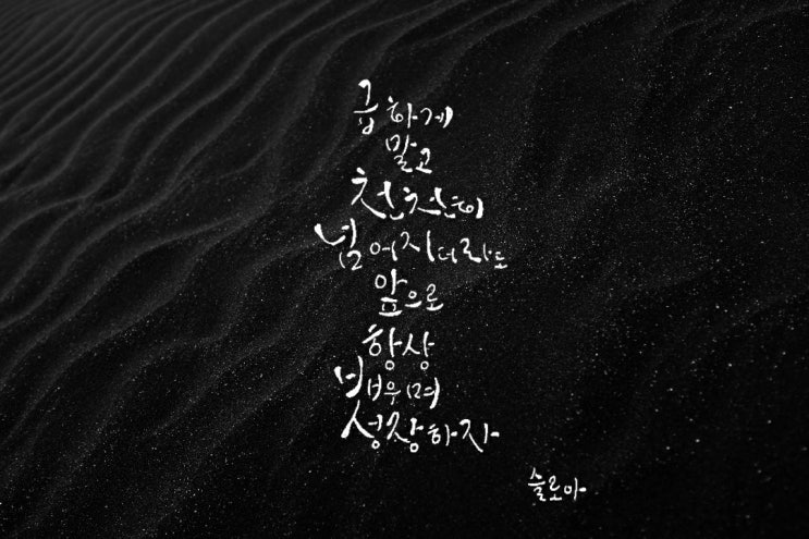  소개합니다 - 슬로아의 캘리그라피!! (기대는 두고 오시죠)